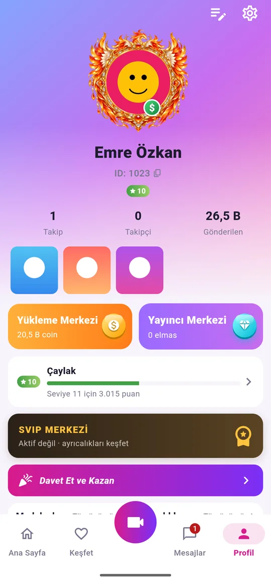 Profil